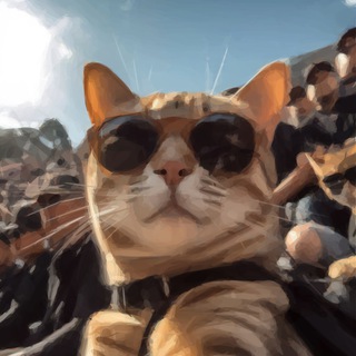 Telegram: view @nitechan